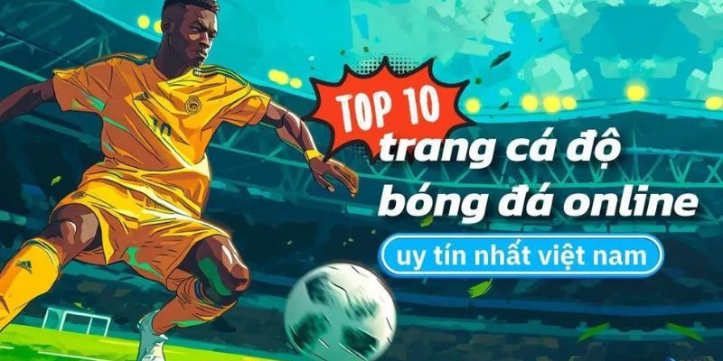 Tìm hiểu về trang cá độ bóng đá HB88